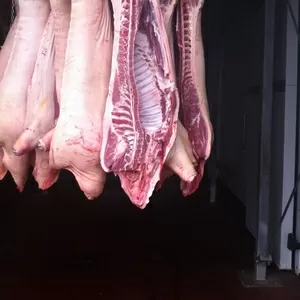 Предлагаем мясо свинины в ассортименте